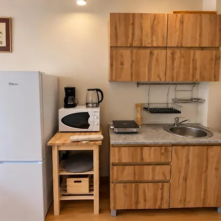 Royal Park Studio View & Free Ski Shuttle Apartment